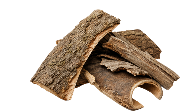 Magnolia Bark Extract